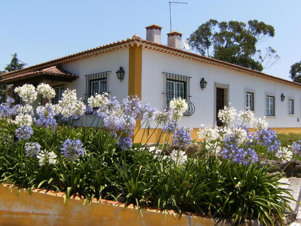 Quinta Da Torre - Obidos Country House 외부 사진
