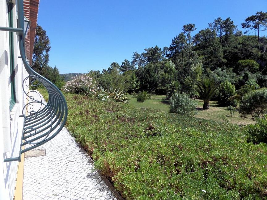 Quinta Da Torre - Obidos Country House 외부 사진